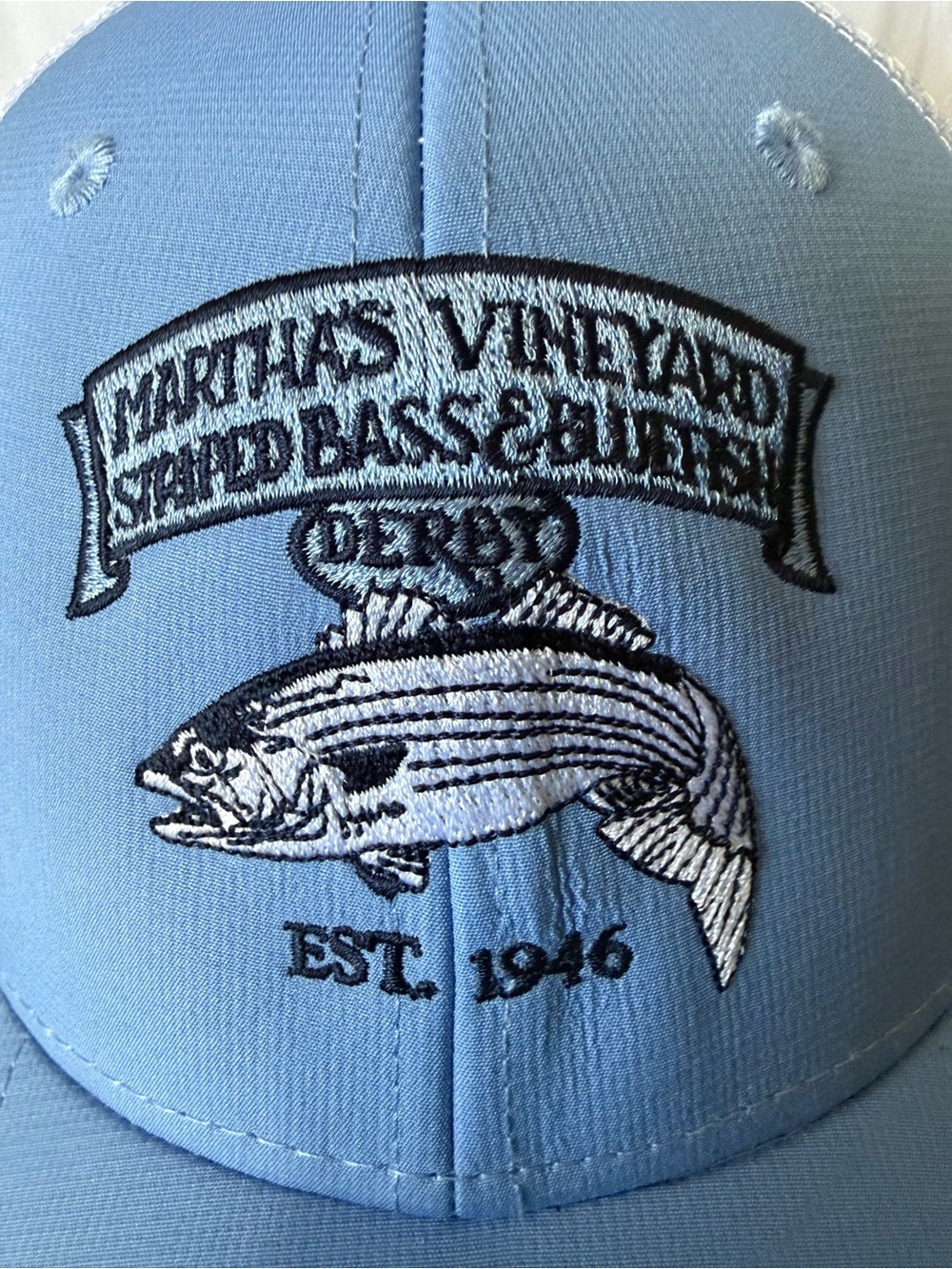 Vineyard Vines Light Blue Embroidered Striped Bass Cap